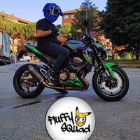 andrefluffy