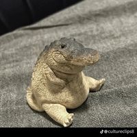 possiblygoodcontent56