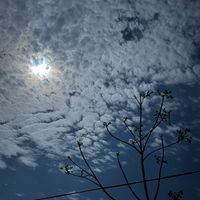 ahmad_01177