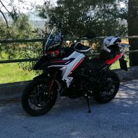 leonardo_060171
