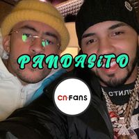 pandasito_