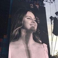albums.daily