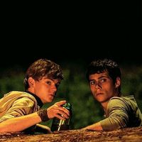maze.runner.fan666