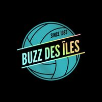 vie.buzz