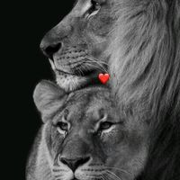 fatemeh_7.0