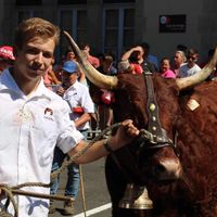 le_cantal_et_les_salers