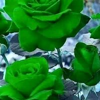 user2034136784007