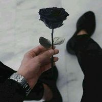 mysecretdiarye