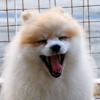 eakkii555