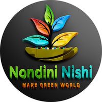 nondininishi