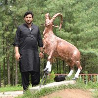 iftikhar7kaka