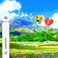 bajaur1414