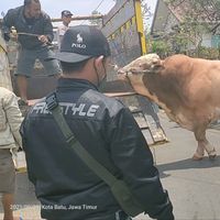 kandang_ragaza