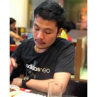 nosss291