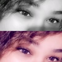 empty_uzoo._0