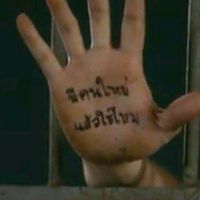 ipingpongboy