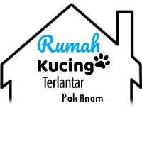 rumahkucingterlantar