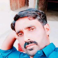 alighoarlander252