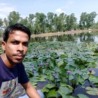 suhelahmed9655
