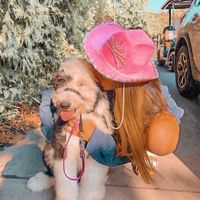 pl4net_maddi