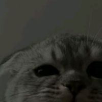 __r1418