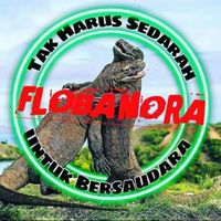 edisonsakau