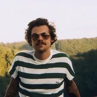 harrystyles.pl