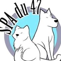 spa_du_47