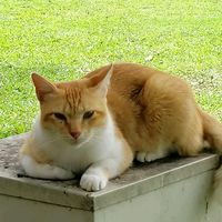 5354me