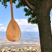 xalidhamo5