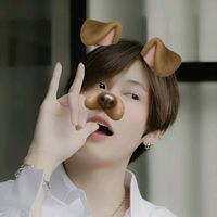 noey30279