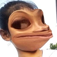 dfhbjut