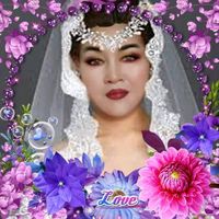 userlvjj51491