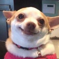 smilemine.s