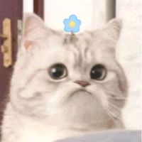 mumymii