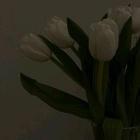 nutshell_01