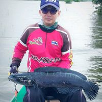 tf_fishing