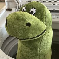 winkkap_