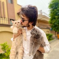 nenii.abbasii
