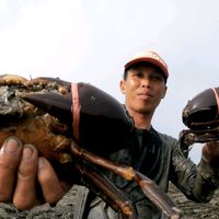 anakkampoong