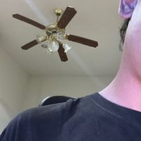 pgliveslotv2