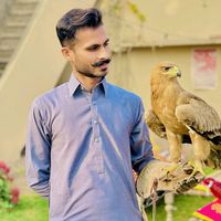 mbabarqayyum
