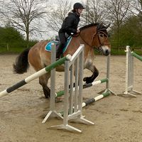 belgisches_kalti.436