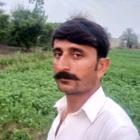 javeedbaloch710