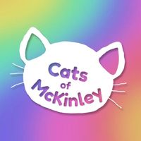 mckinleyhillcats