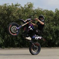 gabri__bklf_
