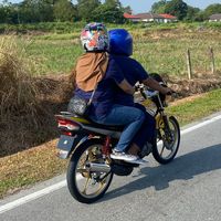 _manmia