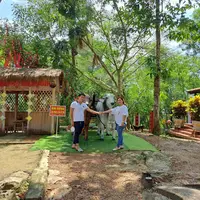 TikTok Account - https://p16-pu-ie.tiktokcdn-eu.com/tos-useast2a-avt-0068-giso/6fc7b7166f8f41c570caa1a7713ad8bd~tplv-tiktokx-cropcenter-q:200:200:q70.webp