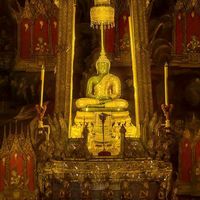 tong_6395