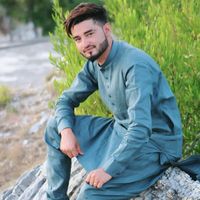 arfeenmalik6555